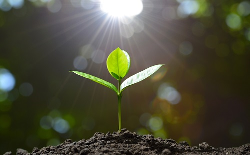 土壤水分測定儀在灌溉中起到的關(guān)鍵作用